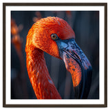 Close Up Flamingo Head Vibrant Orange Plumage thumbnail