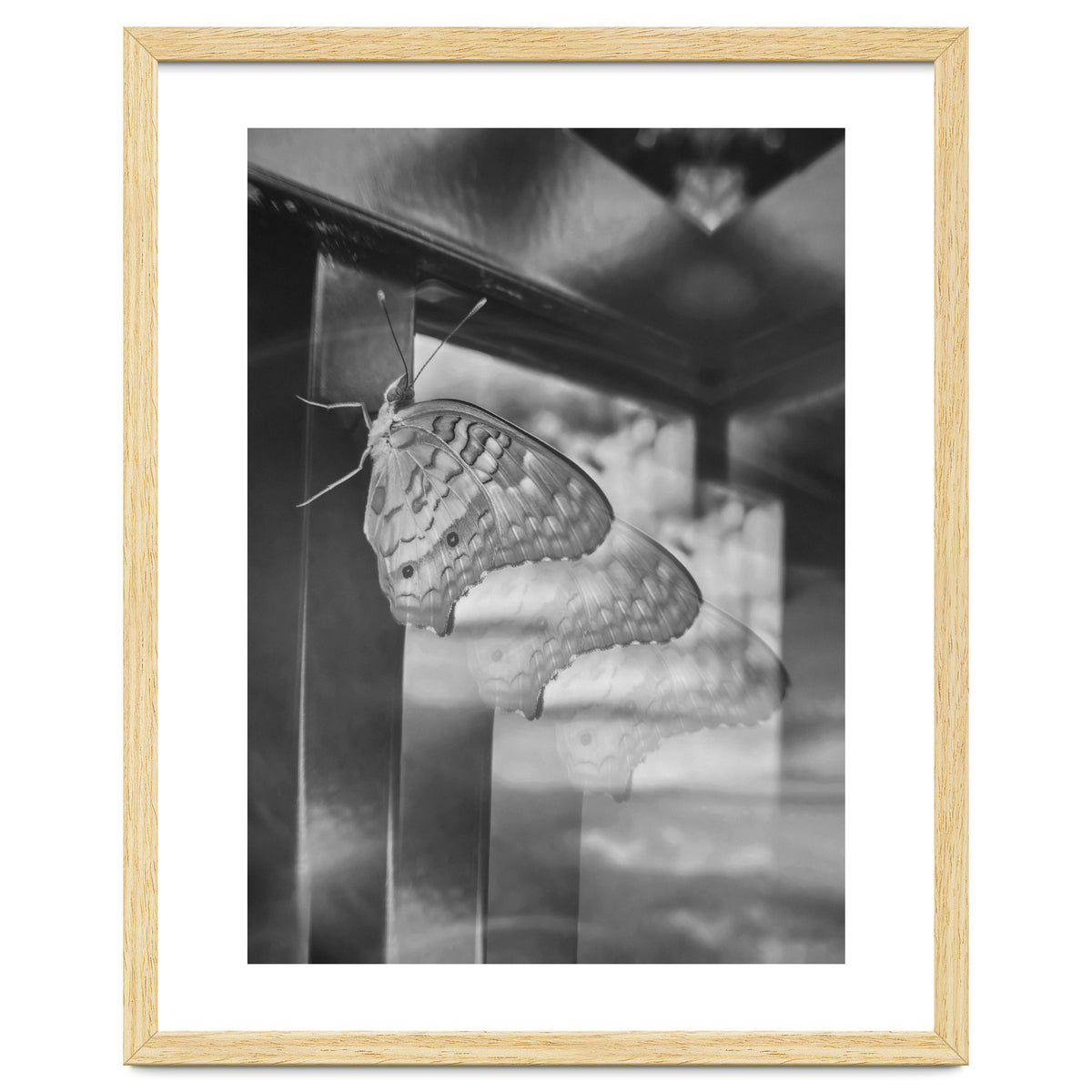 Evolving | Black & White