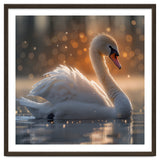 Majestic Swan Gliding On Water During Sunset Golden Hour Wildlife thumbnail