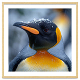 King Penguin In Falling Snow thumbnail