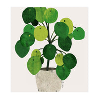 Pilea Plant (Print Only)