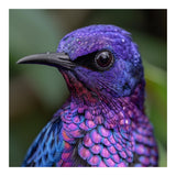Vibrant Purple Bird With Water Droplets (Print Only) thumbnail