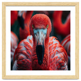 Close Up Flamingo Head With Bright Red Feathers thumbnail