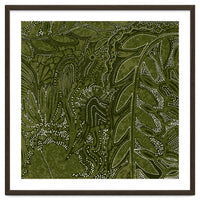 Forest Dense Foliage