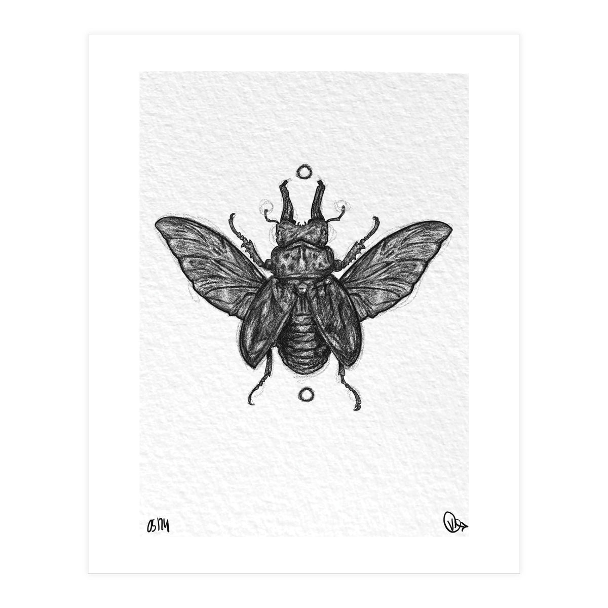 Hirschkäfer  (Print Only)