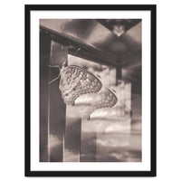 Evolving | Sepia