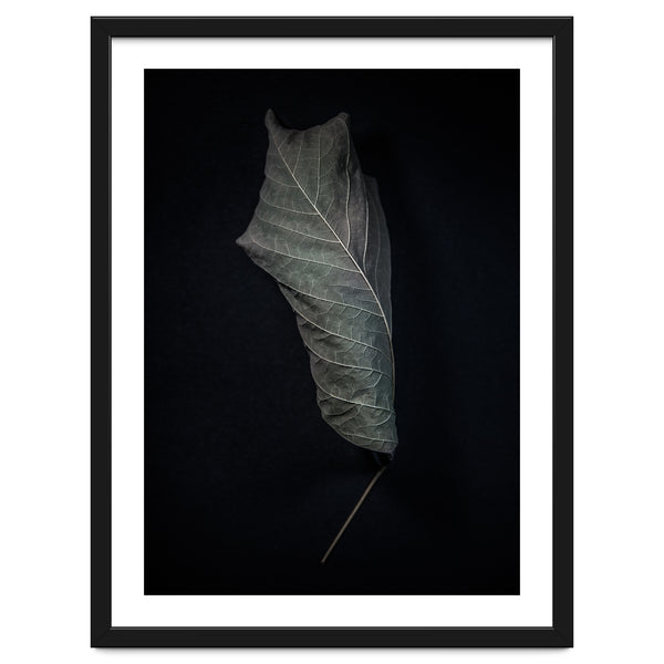 Leaves No 3 Color Version