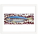 Sardine thumbnail