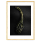 Gourds No 9 Color Version thumbnail