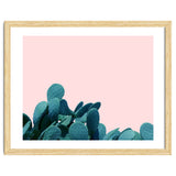 Kaktos thumbnail