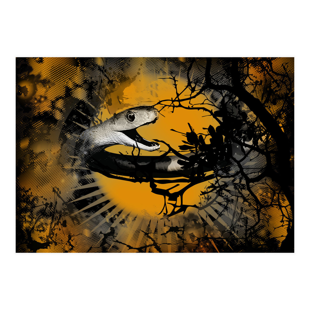 Black Mamba  (Print Only)