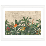 Explore The New World Wild Animals thumbnail
