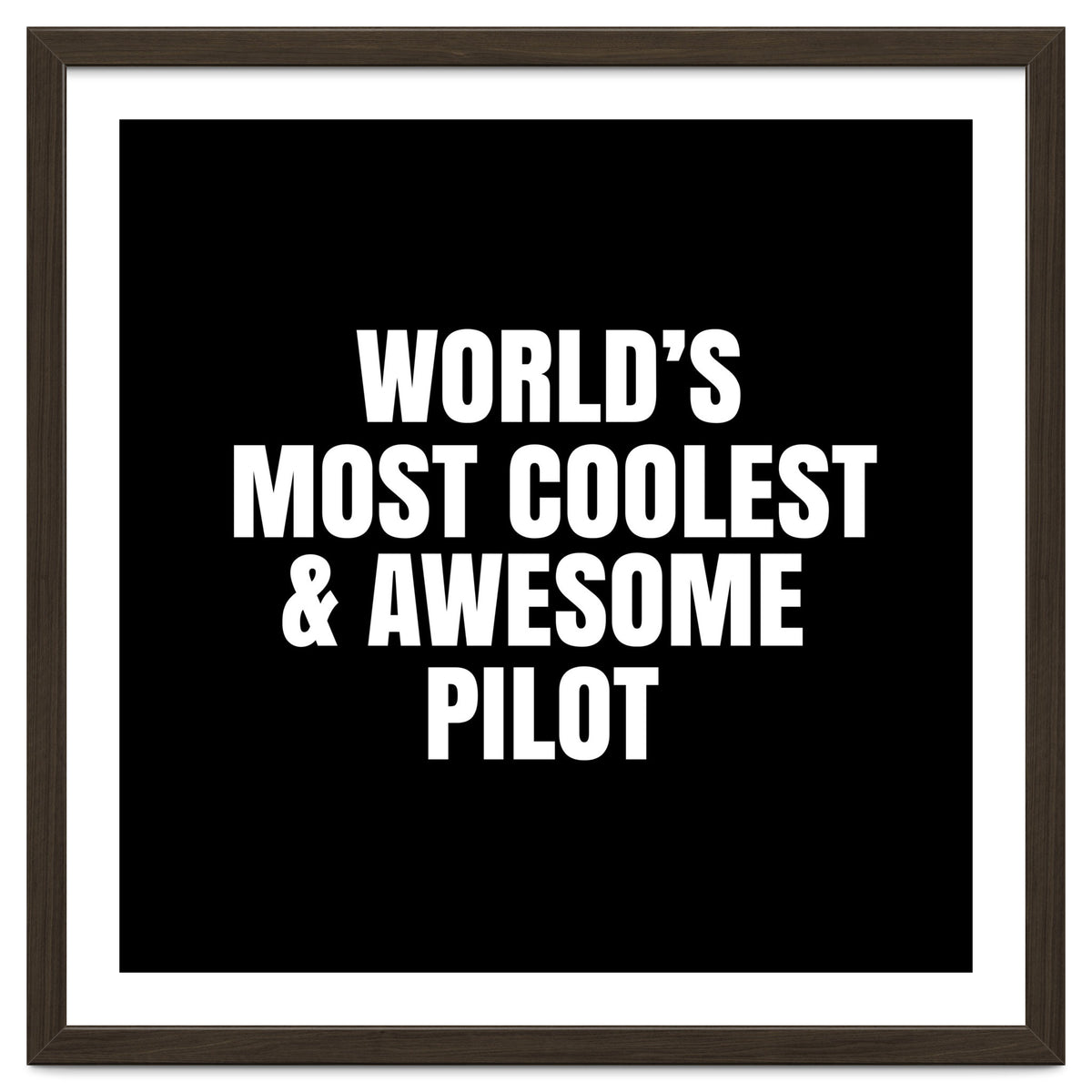 World's most coolest and awesome pilot