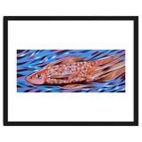 Little fish thumbnail