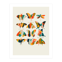 Colorful Butterflies (Print Only)