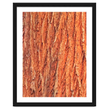 Tree Bark thumbnail