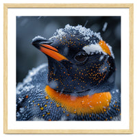 Close Up Penguin In Snow With Water Droplets