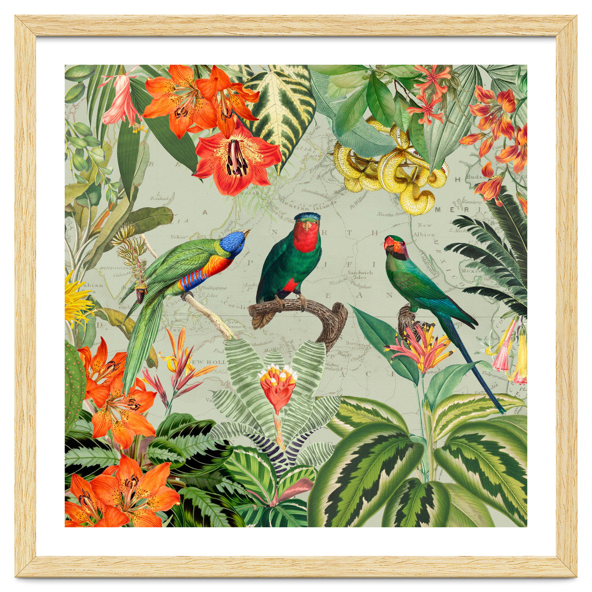 Exotic Parrots Jungle Landscape