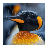 King Penguin Close Up In Snowfall (Print Only) thumbnail