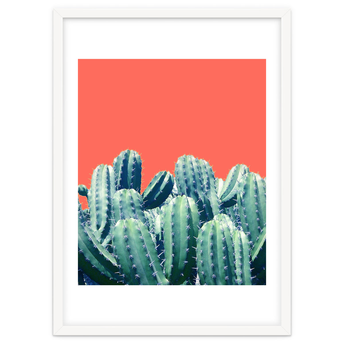 Cactus On Coral