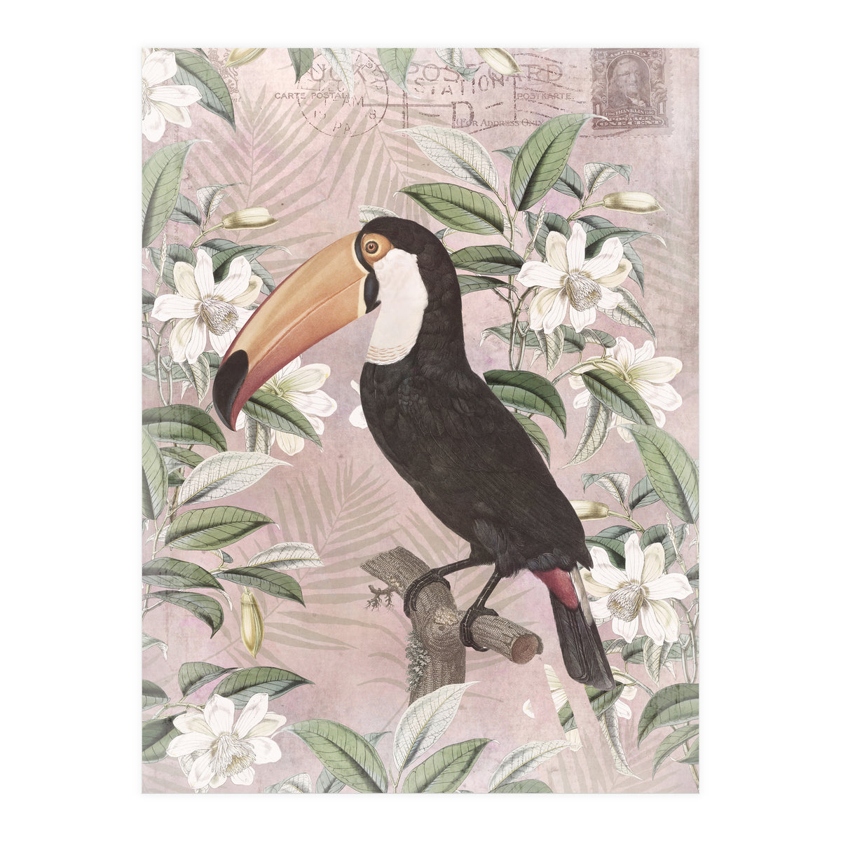 Exotic Bird Toucan (Print Only)