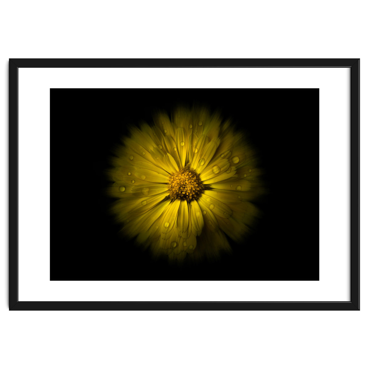 Backyard Flowers No 10 Color Flow Version