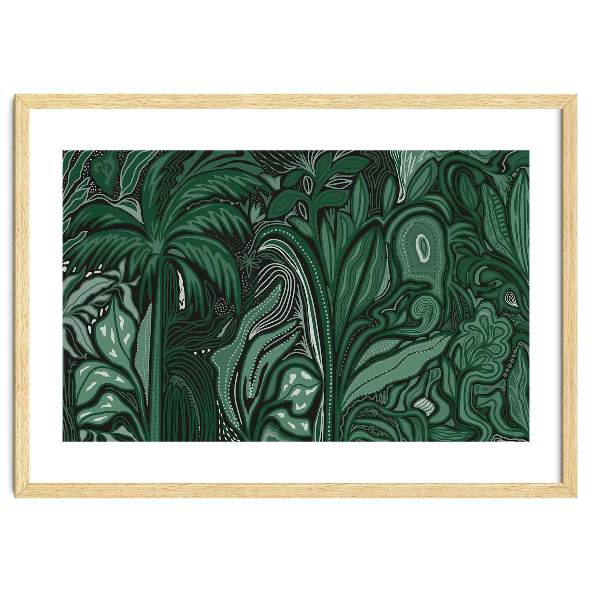 Noctiverdis magnifolia arcana tropical green