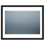 Flying Segulls in thet winter sky thumbnail
