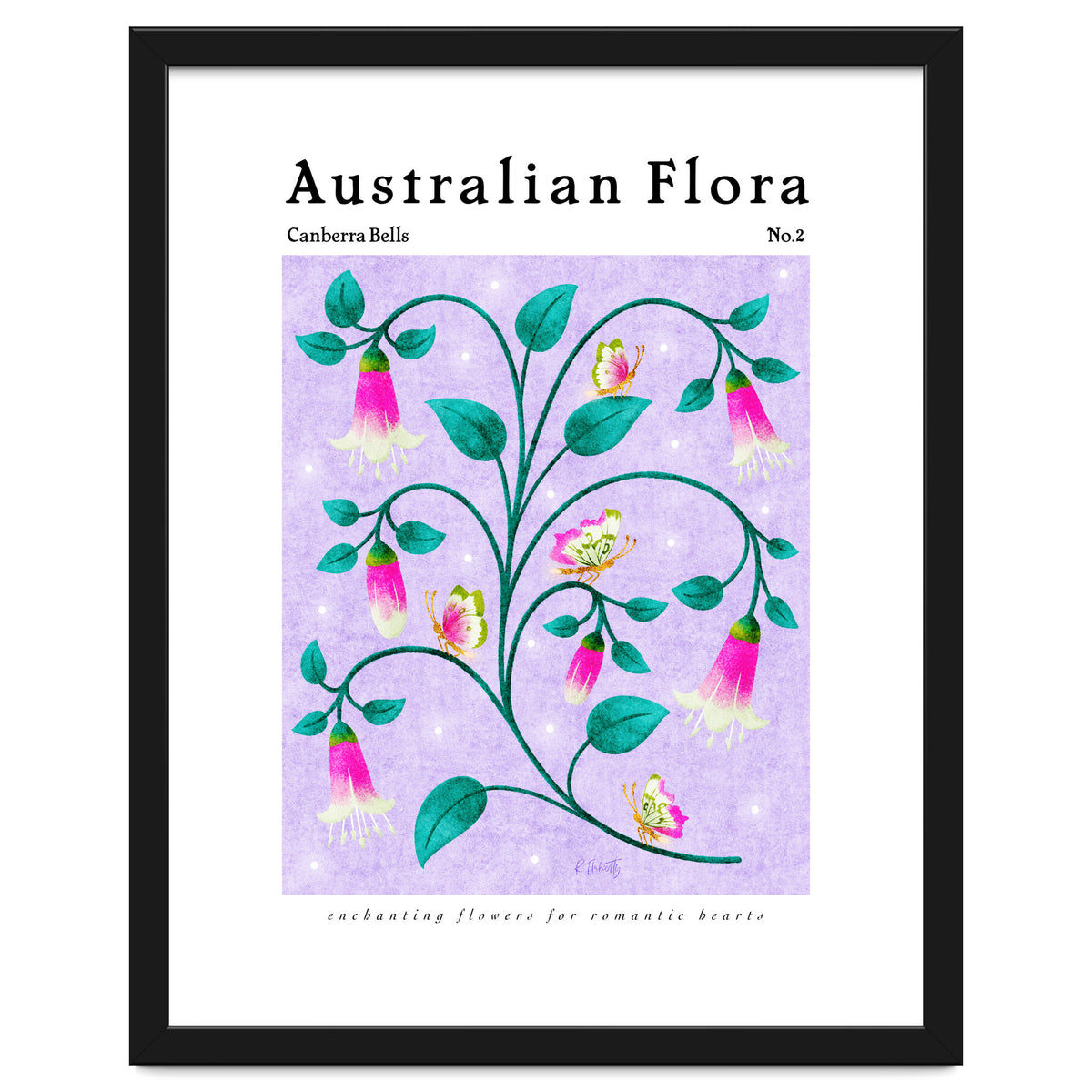 Australian Flora: Canberra Bells