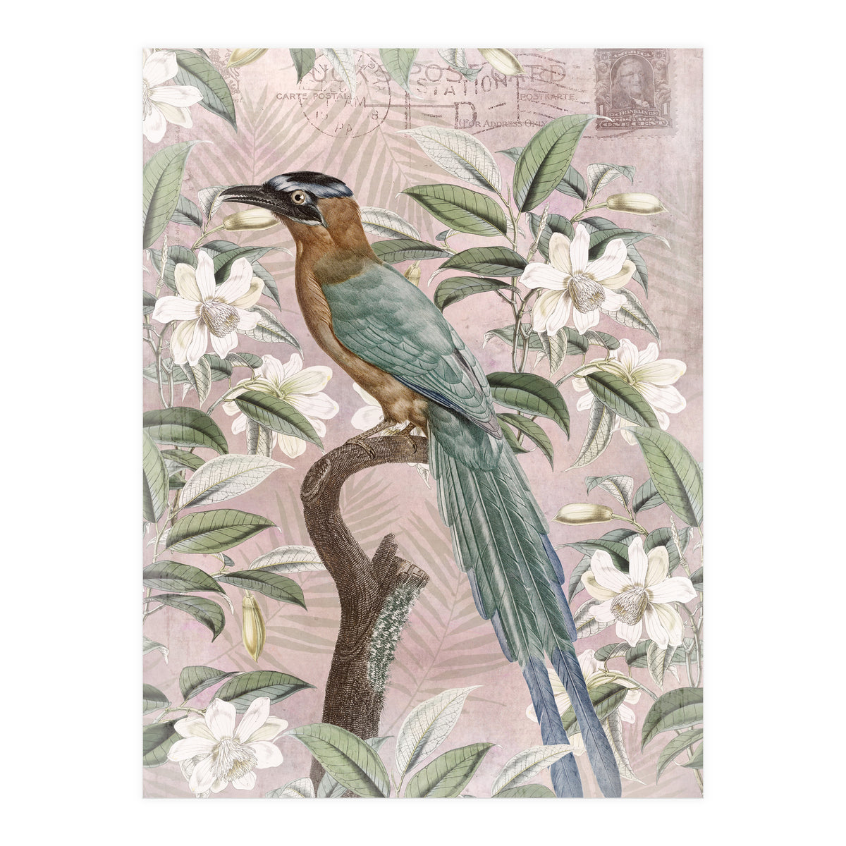 Exotic Bird (Print Only)