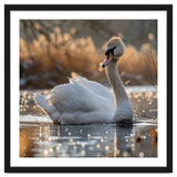 Majestic Swan On Calm Water During Sunset Nature Scene thumbnail