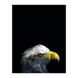 What It A Dream (Print Only) thumbnail
