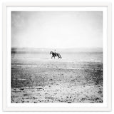 Sea Horse thumbnail