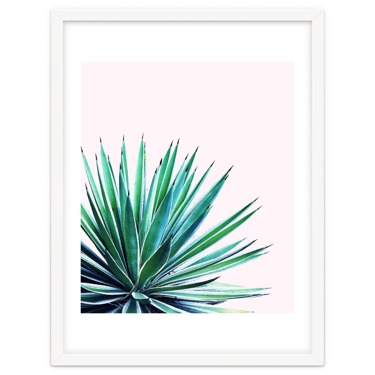 Agave Love #society6 #decor #buyart