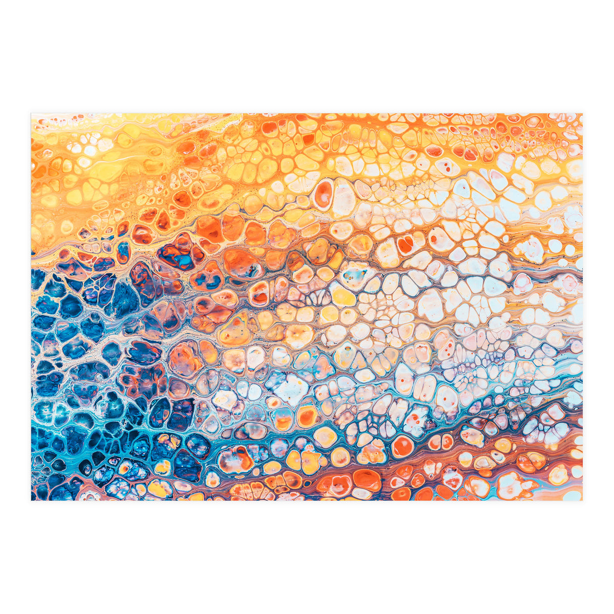 The Bright Side (Print Only)