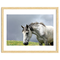 White Horse