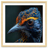 Close Up Of A Colorful Bird Head And Eye thumbnail