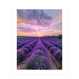 Infinite Horizons (Print Only) thumbnail