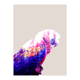 Macaw (Print Only) thumbnail