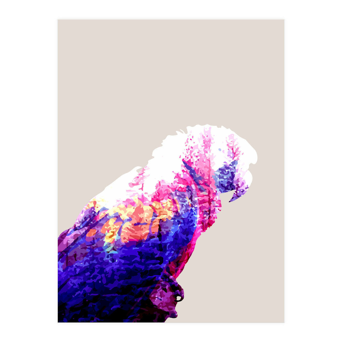 Macaw (Print Only)