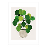 Pilea Plant (Print Only) thumbnail