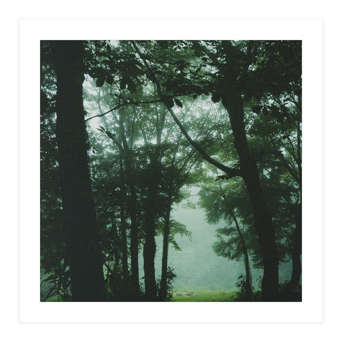 Silence of breath - 13 (Print Only)