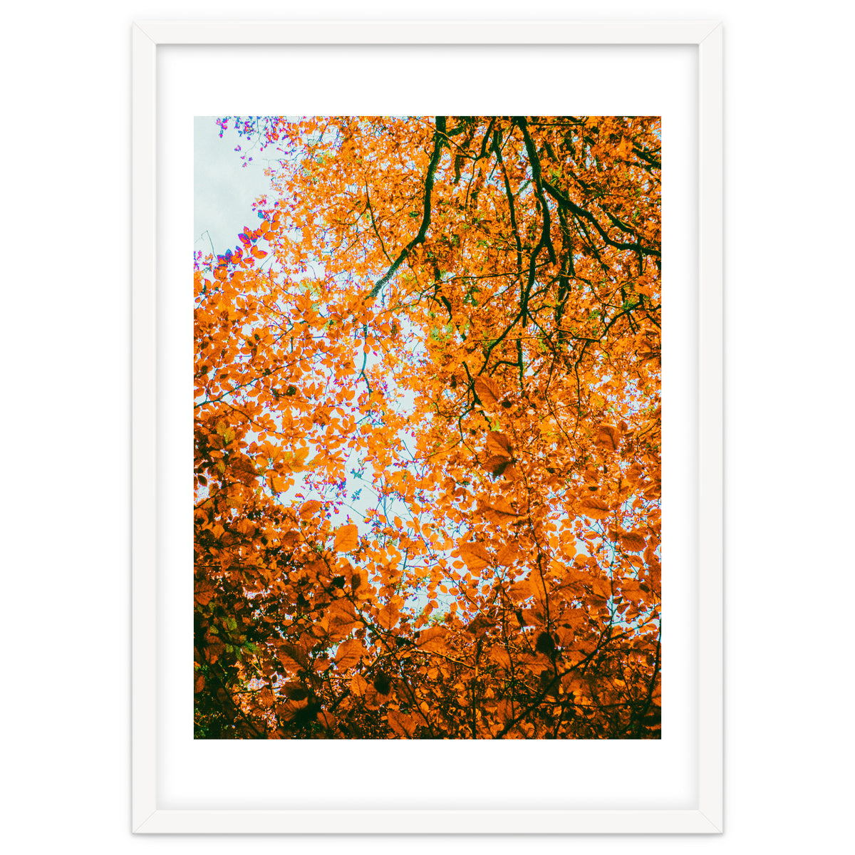 Autumn Leaves