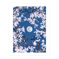 Moon Branches (Print Only)