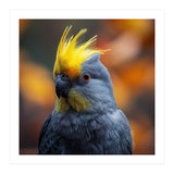 Close-up Portrait of a Yellow Cockatoo in the Wild. (Print Only) thumbnail