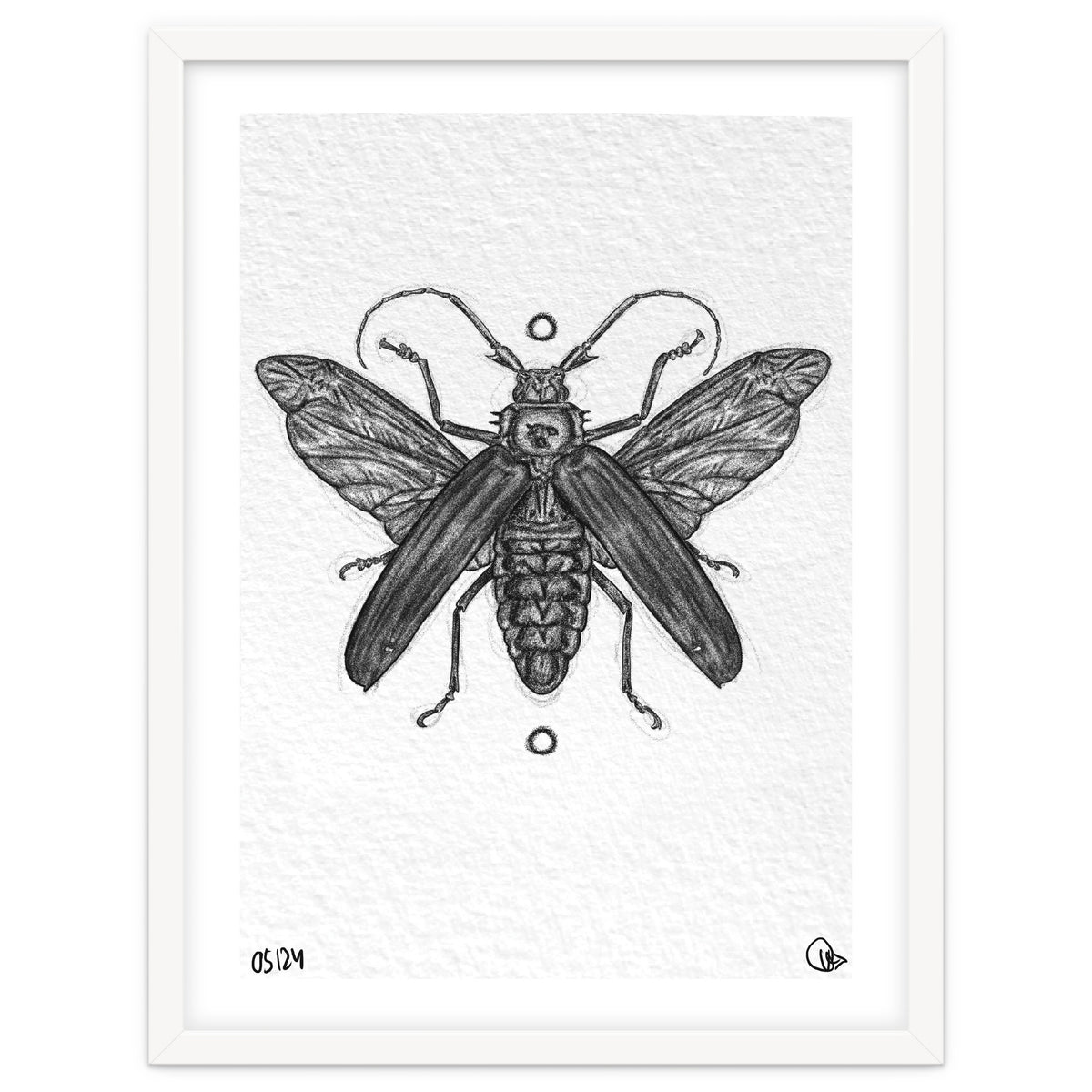 Riesen Longhorn Käfer