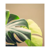 Dark And Light (Print Only) thumbnail