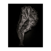 Leaves No 9 (Print Only)