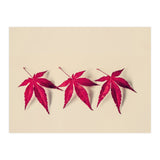Dancing Leaves (Print Only) thumbnail
