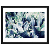 Cactus Garden thumbnail